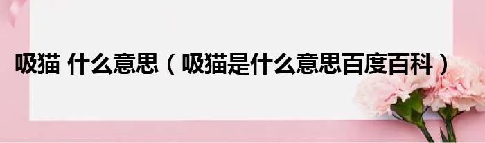 吸猫 什么意思（吸猫是什么意思百度百科）