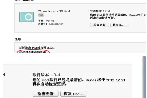 苹果mp3怎么下歌,求详细过程