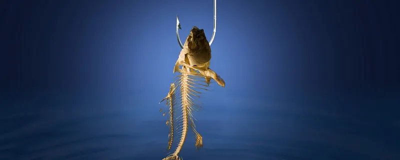 姜太公钓鱼数学用语 姜子牙钓鱼猜一数学用语