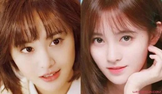 张恒警告郑爽黑粉男友力爆棚获称赞 鞠婧祎大粉公然diss郑爽为何