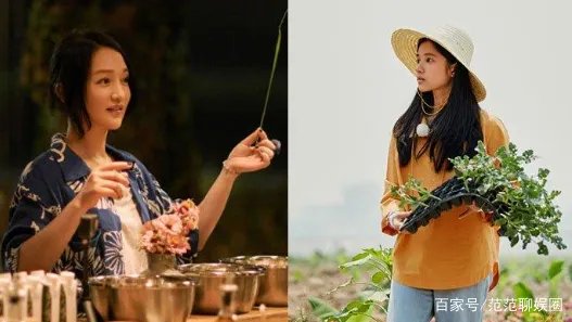 张婧仪和周迅是什么关系？为什么会去向往的生活？