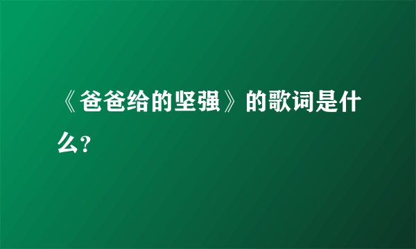 《爸爸给的坚强》的歌词是什么?