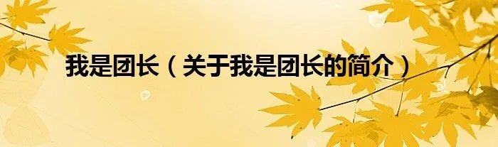 我是团长（关于我是团长的简介）