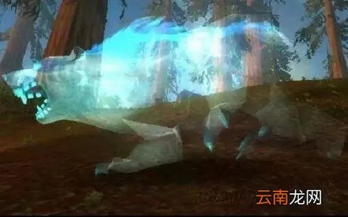 魔兽猎人稀有宝宝位置