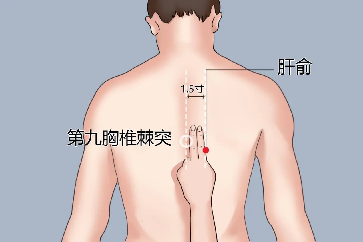 通大便按摩身体哪些部位