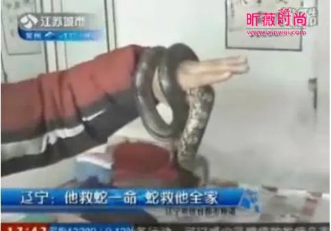 男子救蛇一命 蛇竟救活他全家：灵蛇报恩故事（全文）