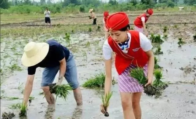 央视曝光赴韩游客频被宰，出租车故意绕远，对此你怎么看？