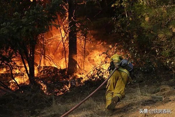 如何看待加州大火势不可挡，加州长向澳大利亚加拿大请求灭火援助？