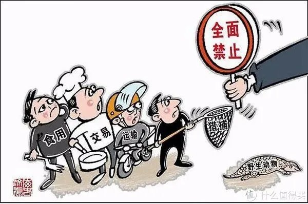 山东全面禁食陆生野生动物