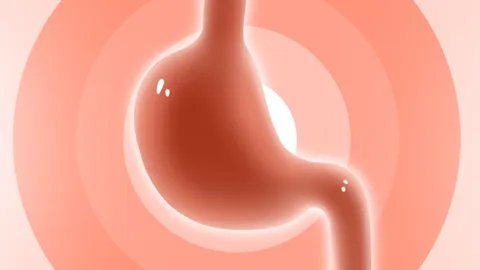 猴菇菌片的功效与作用是什么