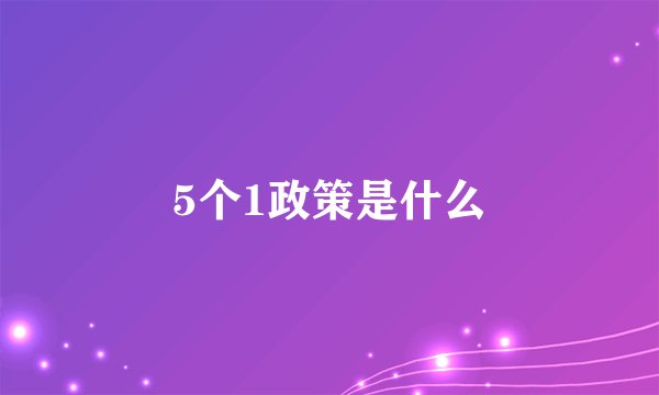 5个1政策是什么