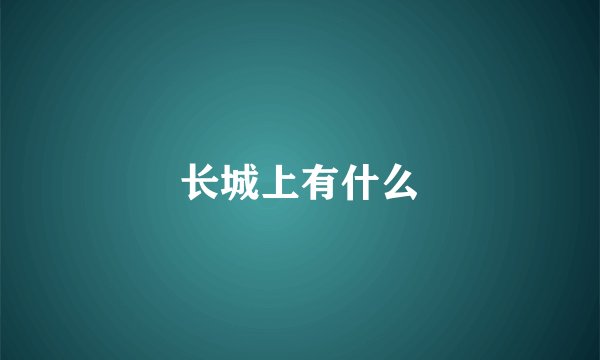 长城上有什么