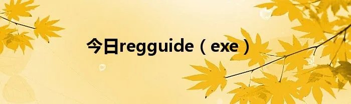 今日regguide（exe）