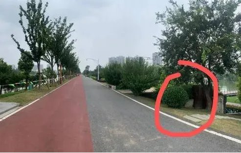 秦淮河河堤违建涉事9人被处理是怎么回事？