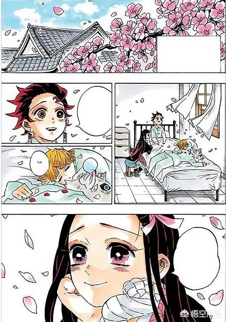 《鬼灭之刃》204有最新情报了吗?