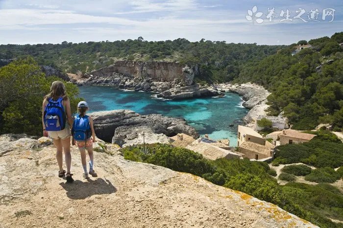 狗瘟后遗症有哪些,狗瘟后遗症怎么治疗