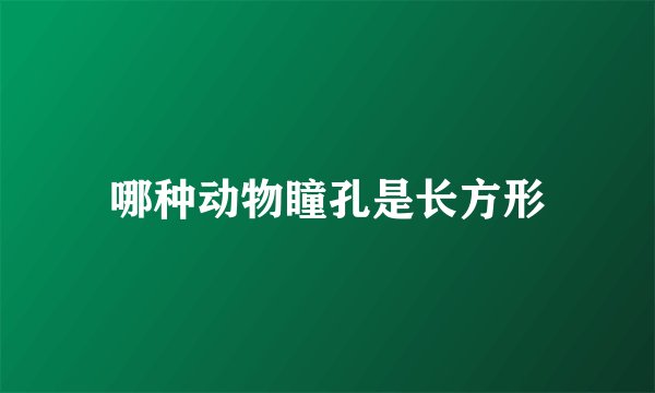 哪种动物瞳孔是长方形