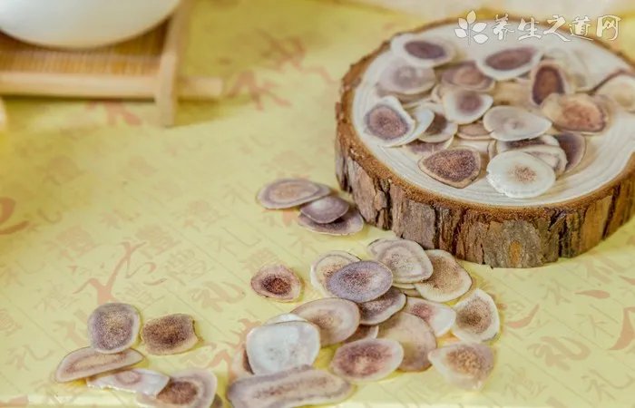 经络养生 强壮身体养生祛病