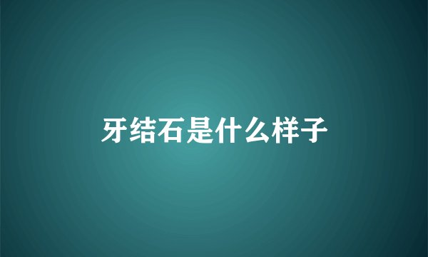 牙结石是什么样子