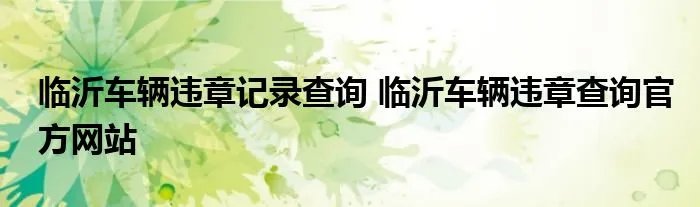 临沂车辆违章记录查询 临沂车辆违章查询官方网站
