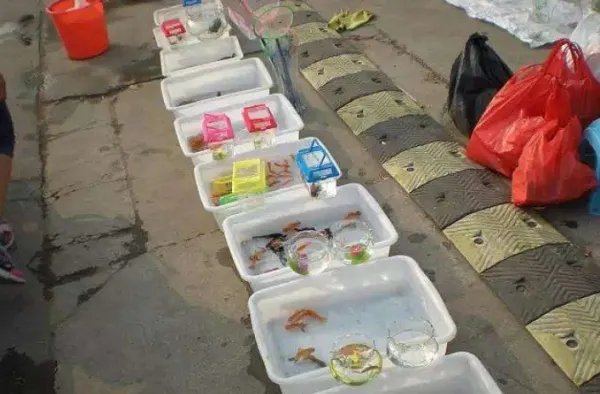 2020年摆地摊卖什么最火