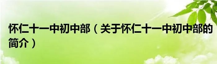 怀仁十一中初中部（关于怀仁十一中初中部的简介）