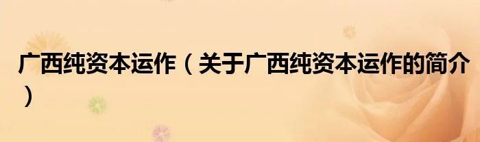 广西纯资本运作（关于广西纯资本运作的简介）