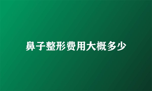 鼻子整形费用大概多少