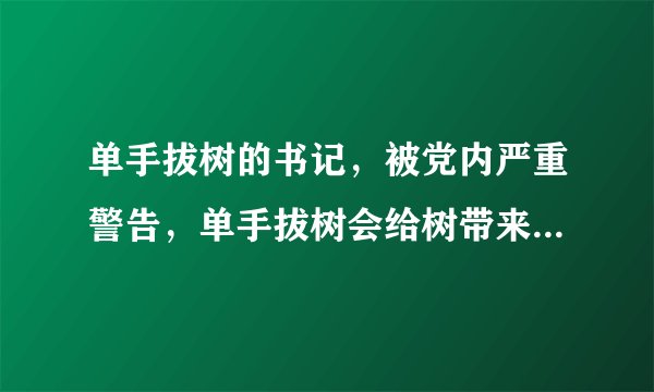单手拔树的书记，被党内严重警告，单手拔树会给树带来哪些影响？