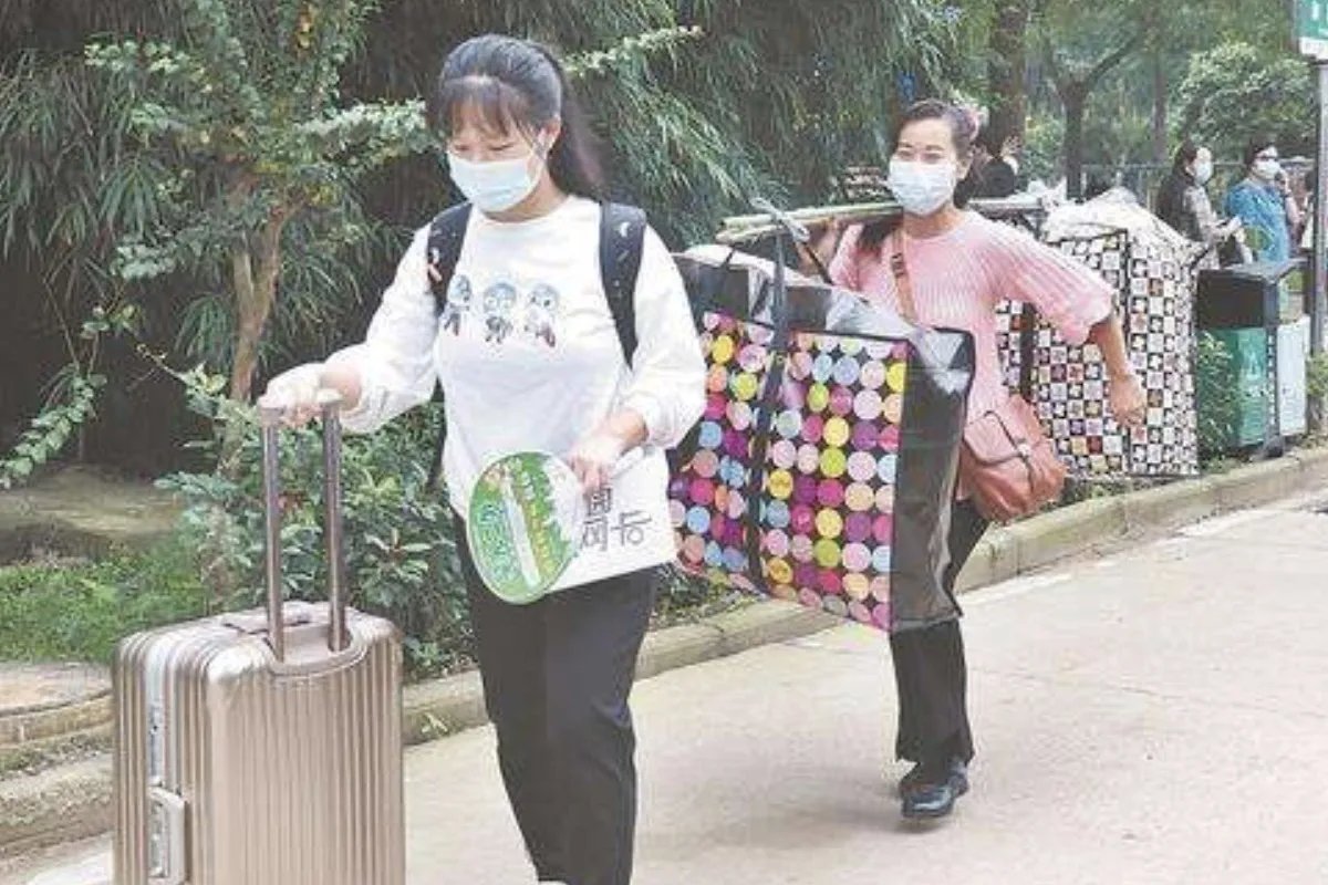 龙凤胎一同考上同所大学同一专业，本人对此有何表示？