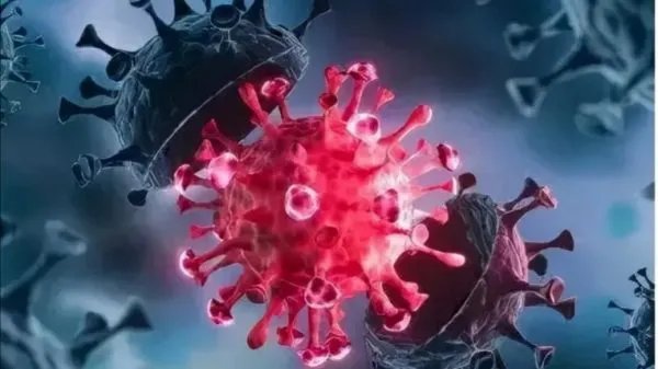 31省份新增本土确诊21例，这些病例分布在了哪儿？