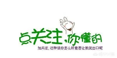 奔驰g和揽胜行政哪个质量好一些?