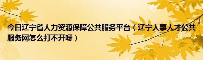 今日辽宁省人力资源保障公共服务平台（辽宁人事人才公共服务网怎么打不开呀）