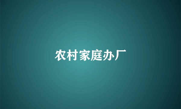 农村家庭办厂