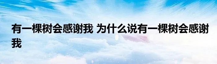 有一棵树会感谢我 为什么说有一棵树会感谢我