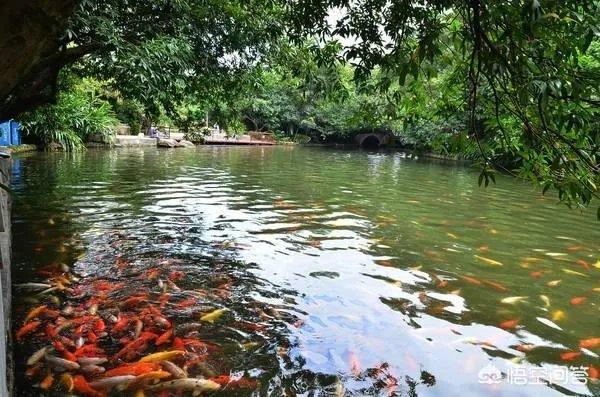 广州越秀公园好玩吗?