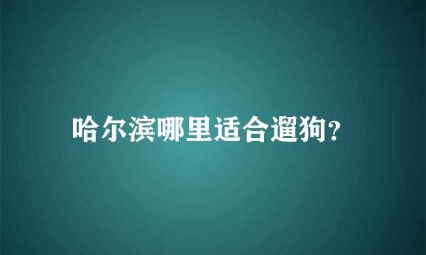 哈尔滨哪里适合遛狗？