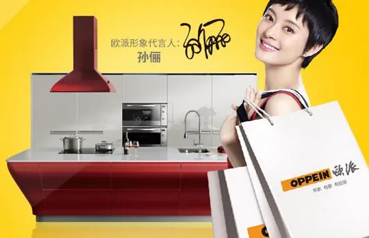 中国十大整体橱柜 中国十大整体橱柜排行榜