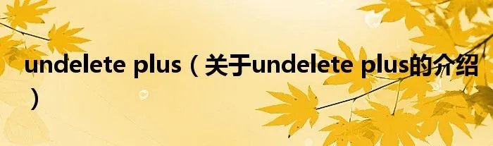 undelete plus(关于undelete plus的介绍)