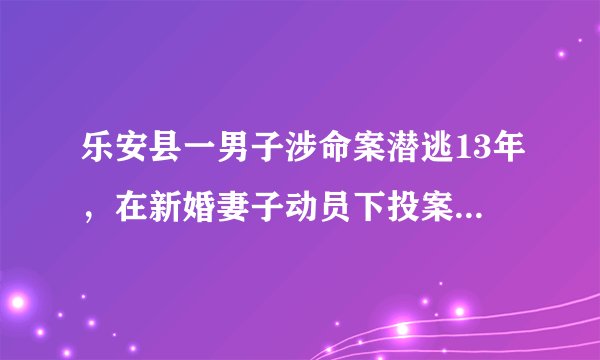 乐安县一男子涉命案潜逃13年，在新婚妻子动员下投案自首, 你怎么看？