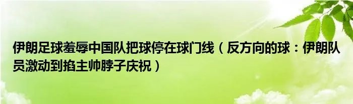 伊朗足球羞辱中国队把球停在球门线（反方向的球：伊朗队员激动到掐主帅脖子庆祝）