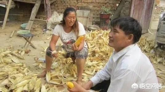 朱之文近况如何?