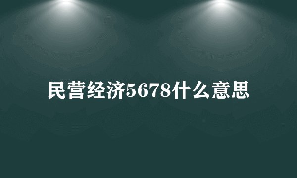 民营经济5678什么意思