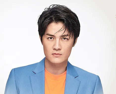 歌词中有一句能不能不爱了 因为爱太痛了 的歌叫什么名字？