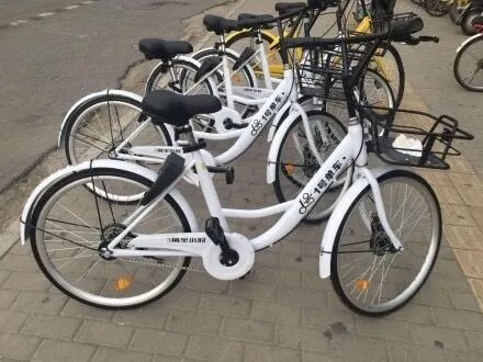 1号单车宣布停运了吗？