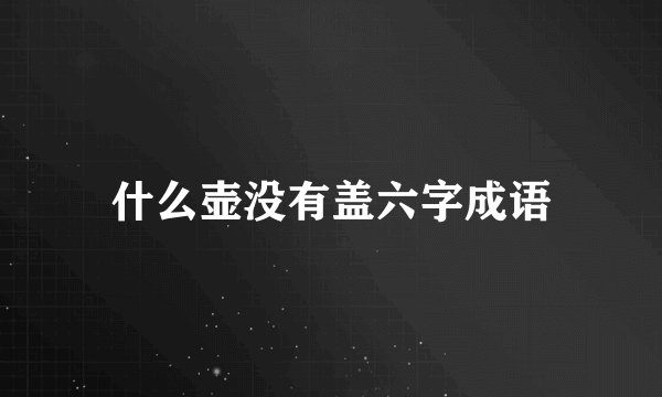 什么壶没有盖六字成语