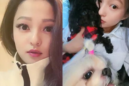 陈建州发文疑劝解 夫妇二人一唱一和