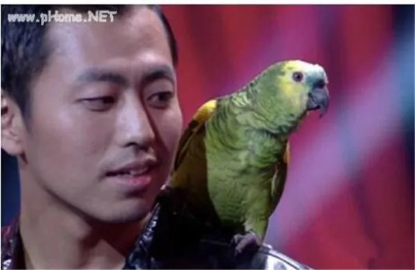 最强大脑王昱珩作弊了吗退赛真相 王昱珩为什么会输给余奕沛内幕