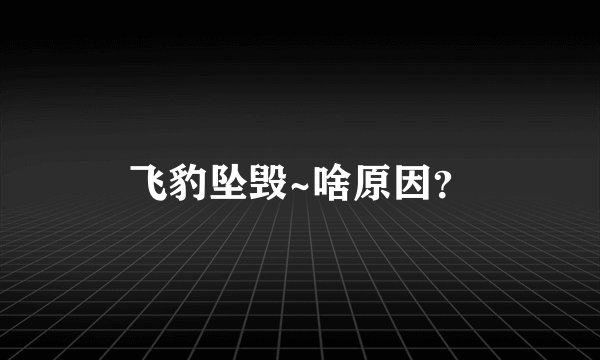 飞豹坠毁~啥原因？