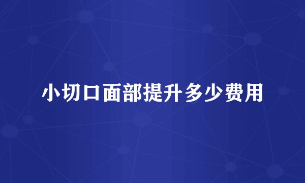 小切口面部提升多少费用